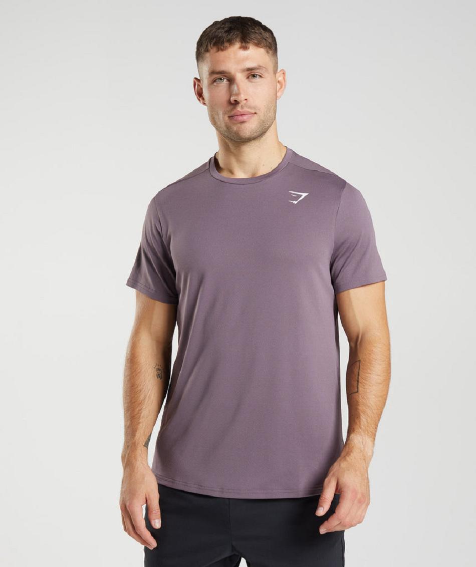 T Shirts Gymshark Arrival Hombre Moradas | CO 3281SGL